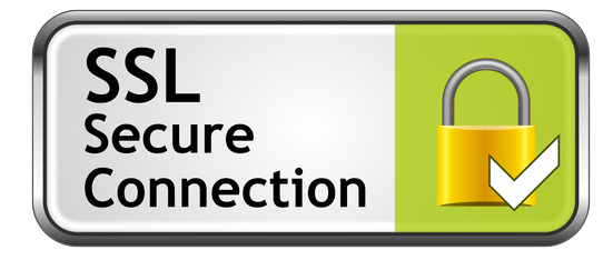 256-Bit SSL Güvenlik